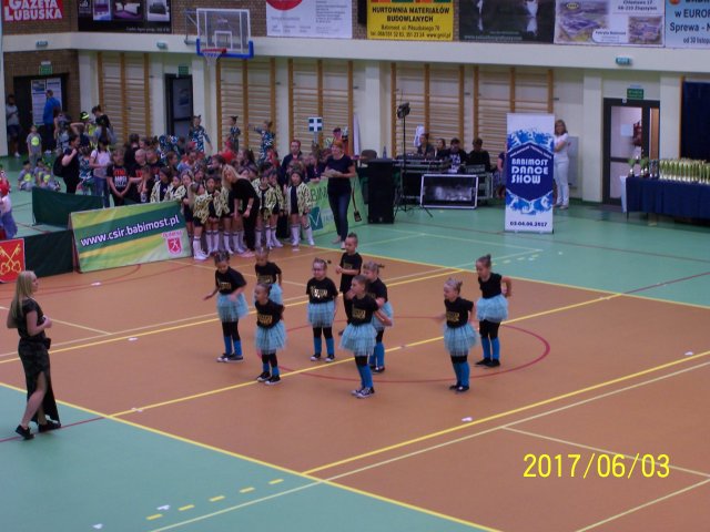 fest 12